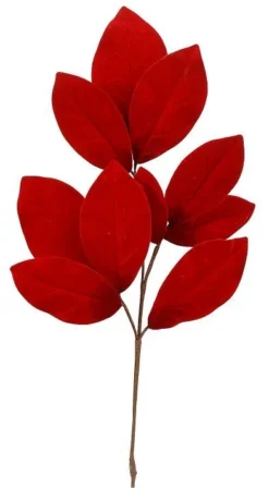 Magnolia Tak Rood 72cm