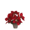 Poinsettia Rood In Pot Stan Grijs