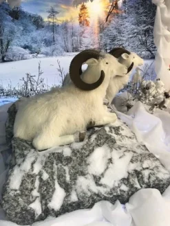 Hervormbare Sheet Rots 100x60cm -Oh Green Winkel 8717545197400 P03